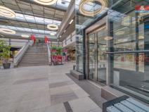 Pronájem obchodního prostoru, Plzeň - Doudlevce, Skupova, 80 m2