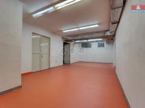 Pronájem skladu, Plzeň, Sousedská, 47 m2
