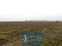 Prodej pole, Dyje, 8295 m2