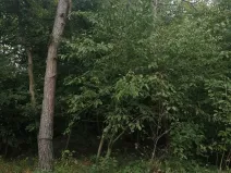 Prodej pozemku pro bydlení, Hradištko, Na Vrcholu, 1486 m2