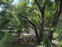 Prodej bytu 4+1, Brno, Strnadova, 80 m2