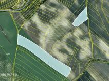 Prodej pole, Čejkovice, 77592 m2