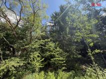 Prodej lesa, Opařany - Olší, 5323 m2