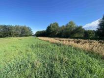 Prodej pozemku, Chlum u Třeboně - Žíteč, 1447 m2