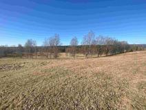 Prodej pole, Rozvadov - Svatá Kateřina, 60693 m2