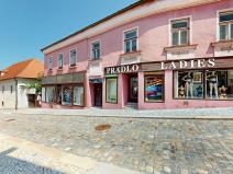 Prodej obchodního prostoru, Třebíč - Vnitřní Město, Hasskova, 294 m2