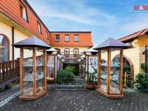 Pronájem obchodního prostoru, Domažlice - Dolejší Předměstí, Husova třída, 600 m2