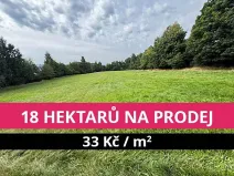 Prodej louky, Stráž nad Ohří, 176908 m2