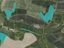 Prodej podílu pozemku, Neveklov, 9639 m2