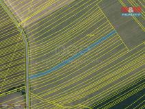 Prodej pole, Radějov, 2665 m2