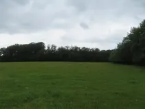 Dražba lesa, Hrabišín, 23811 m2