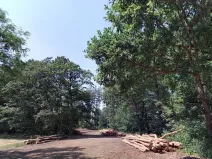 Prodej podílu lesa, Luhačovice, 852931 m2