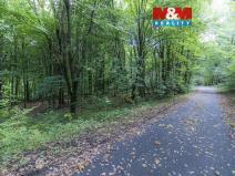 Prodej zahrady, Kostelec nad Černými lesy - Kostelec nad Černými Lesy, 10316 m2