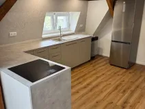 Pronájem atypického bytu, Ústí nad Labem, Masarykova, 110 m2