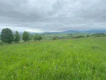 Dražba louky, Králíky, 25968 m2