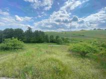 Prodej pozemku, Býkov-Láryšov - Býkov, 10215 m2