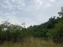 Dražba pozemku, Praha - Michle, 8863 m2