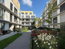 Pronájem bytu 1+kk, Praha - Hodkovičky, Šenácká, 30 m2