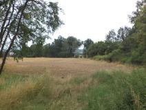 Prodej zahrady, Heřmanova Huť - Vlkýš, 1100 m2