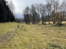 Prodej pole, Toužim - Kojšovice, 12095 m2