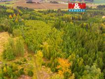 Prodej lesa, Černíkov, 12446 m2