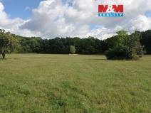 Prodej louky, Jenčice, 16692 m2