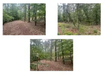 Prodej pozemku, Holice, 5782 m2