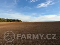 Prodej pole, Roztoky, 40596 m2