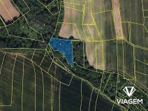 Prodej podílu lesa, Pozdeň, 2404 m2