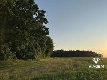 Prodej podílu lesa, Kořenice, 17931 m2