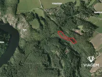 Prodej lesa, Krňany, 8704 m2