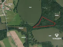 Prodej podílu lesa, Olešnice, 1274 m2