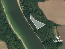 Prodej lesa, Slabčice, 6018 m2