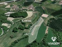 Prodej podílu pole, Velemín, 8749 m2