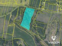 Prodej lesa, Velké Meziříčí, 18631 m2