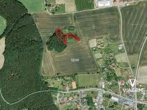 Prodej podílu lesa, Lipová, 2049 m2