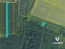 Prodej pole, Nedachlebice, 19282 m2