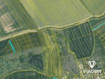 Prodej pole, Nedachlebice, 2865 m2