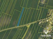 Prodej podílu pole, Heřmanův Městec, 1601 m2