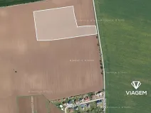 Prodej podílu pole, Máslovice, 7716 m2