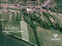 Prodej pole, Slavkov, 8560 m2