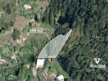 Prodej lesa, Vsetín, Rokytnice, 595 m2