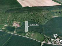 Prodej pole, Nedachlebice, 4717 m2