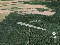 Prodej lesa, Hradiště, 4087 m2