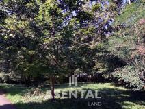 Prodej pozemku, Ostrava - Radvanice, Šmídova, 3243 m2