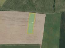 Prodej pole, Ronov nad Doubravou, 10959 m2