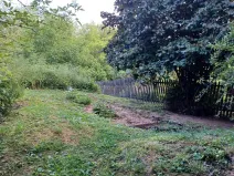 Dražba pozemku, Dubá, 15626 m2