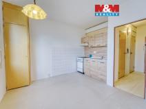 Pronájem bytu 1+1, Horní Bříza, Komenského, 39 m2