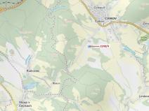 Dražba lesa, Cvikov, 8809 m2