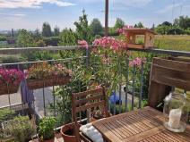 Pronájem bytu 3+1, Horoměřice, Komenského, 75 m2